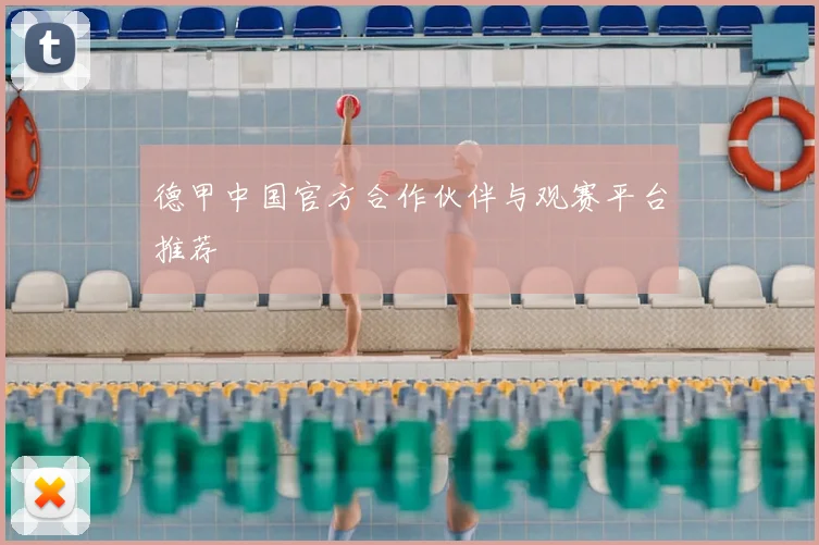 德甲中国官方合作伙伴与观赛平台推荐
