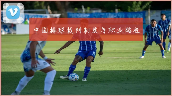 中国排球裁判制度与职业路径