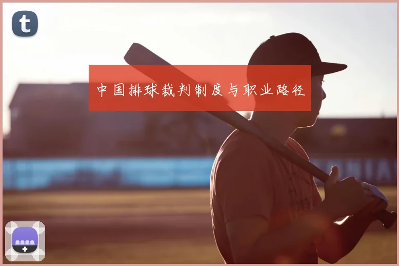 中国排球裁判制度与职业路径