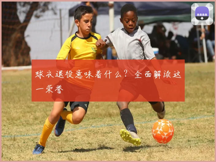 球衣退役意味着什么？全面解读这一荣誉