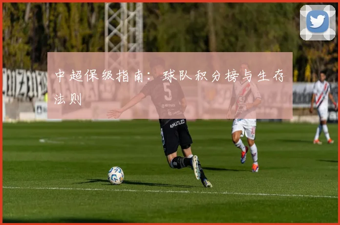 中超保级指南：球队积分榜与生存法则