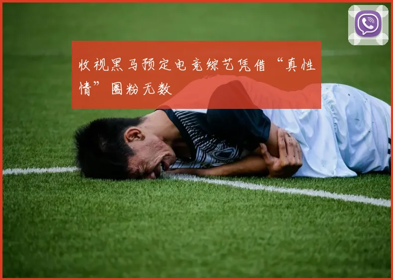收视黑马预定电竞综艺凭借“真性情”圈粉无数