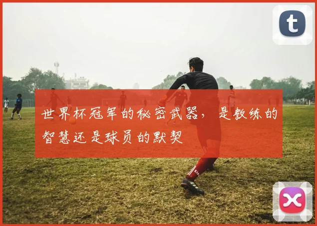 世界杯冠军的秘密武器，是教练的智慧还是球员的默契
